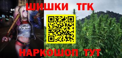 гашик Кунгур
