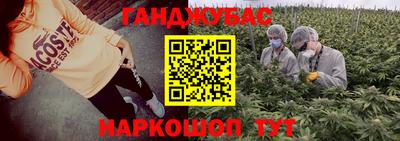 гашик Кунгур