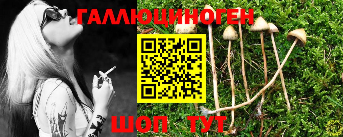 Галлюциногенные грибы Magic Shrooms Нягань